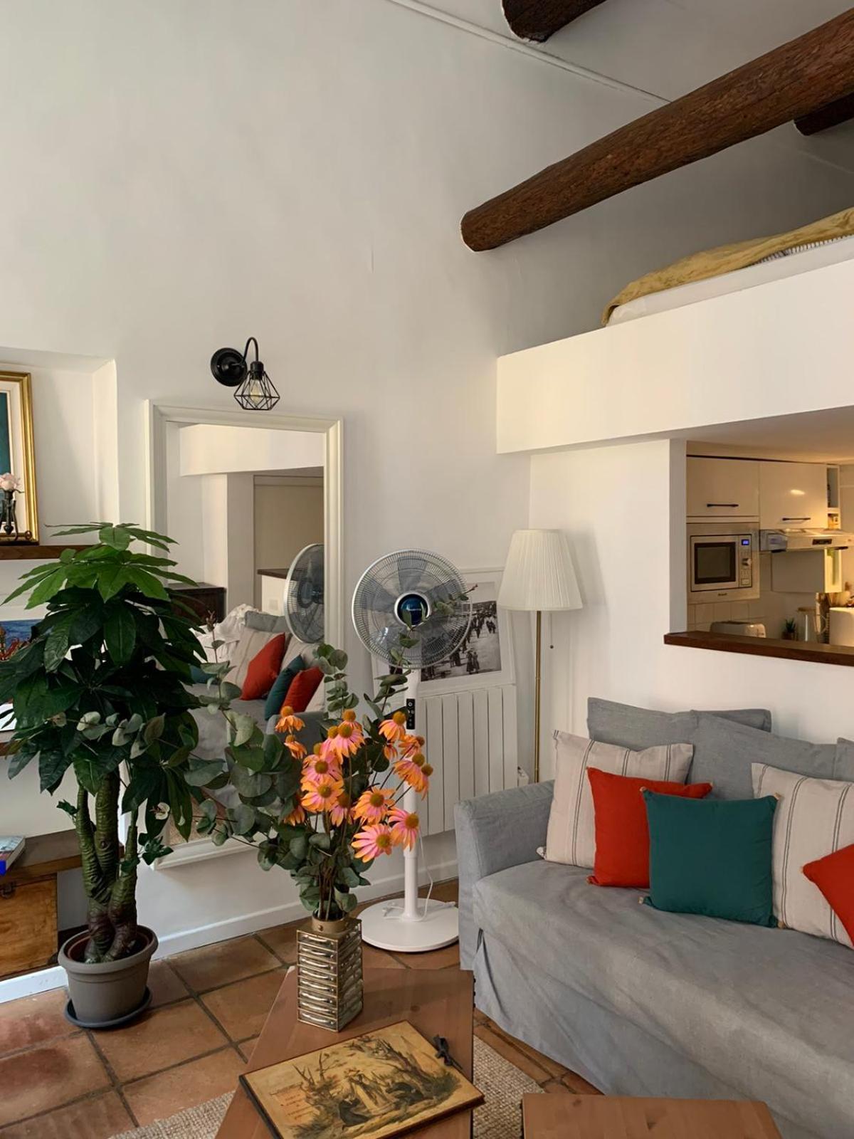Apartment 33 On The Old Historic Senate Square 니스 외부 사진